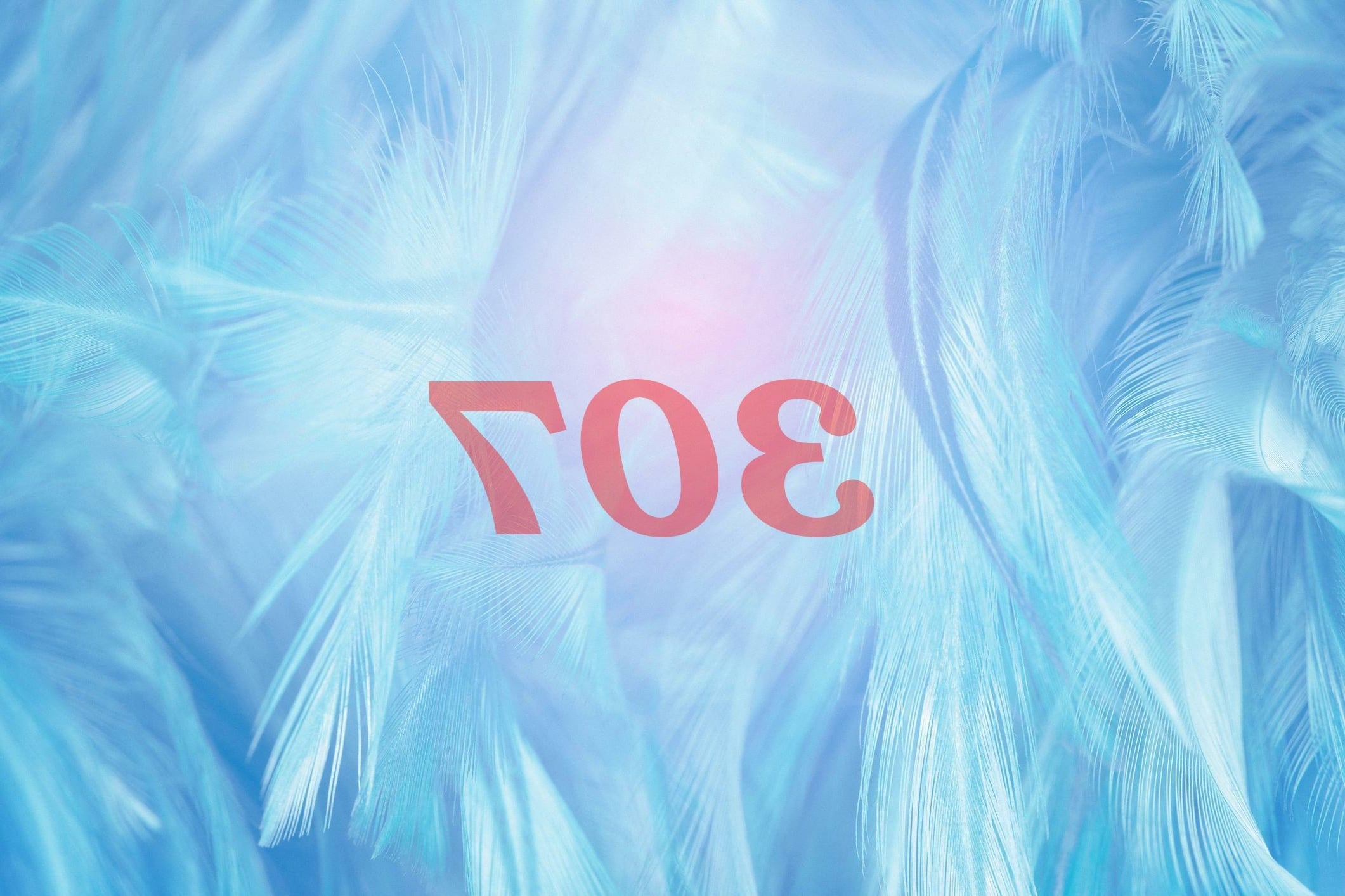 Número de ángel 307 Significado de numerología