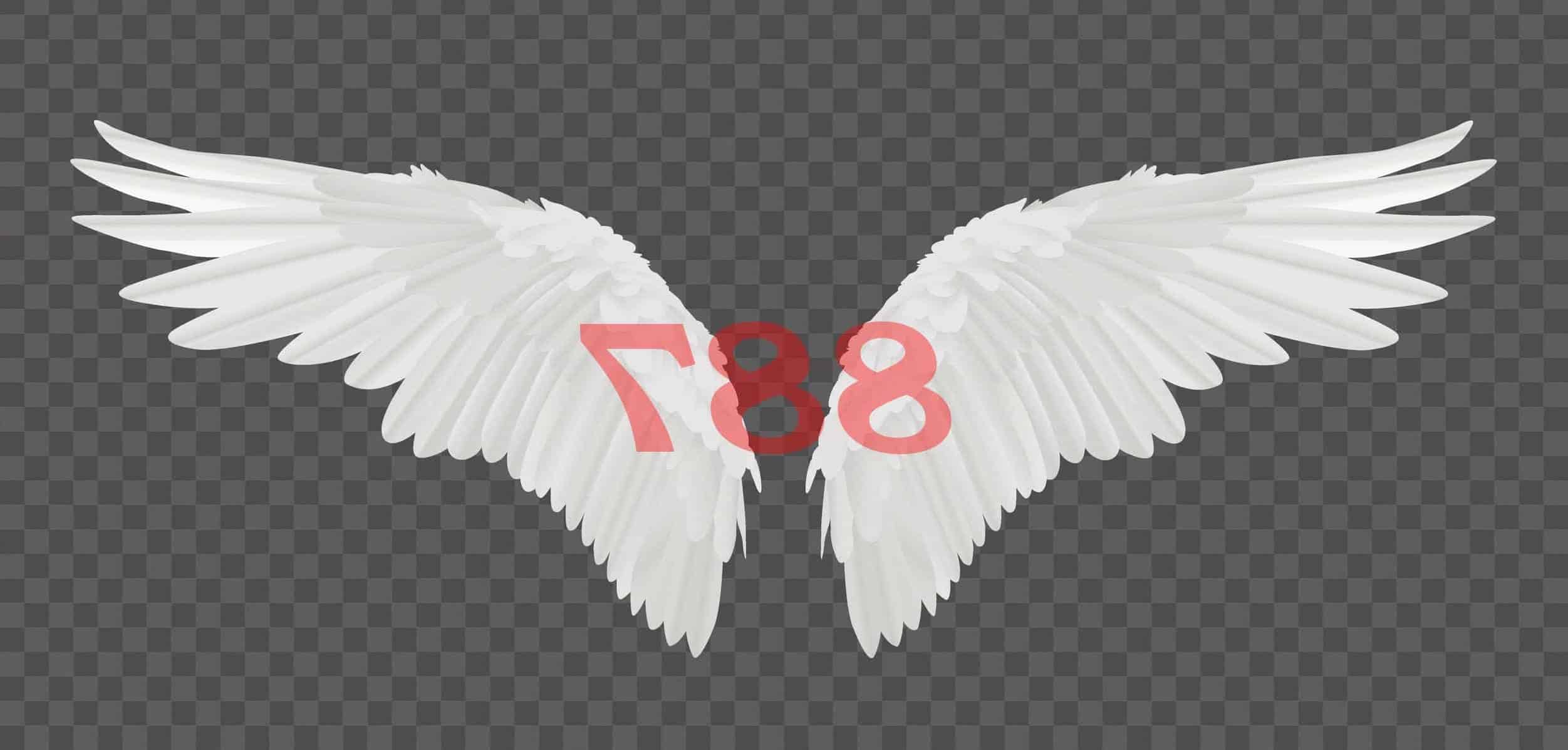 Número de ángel 887 Significado de numerología