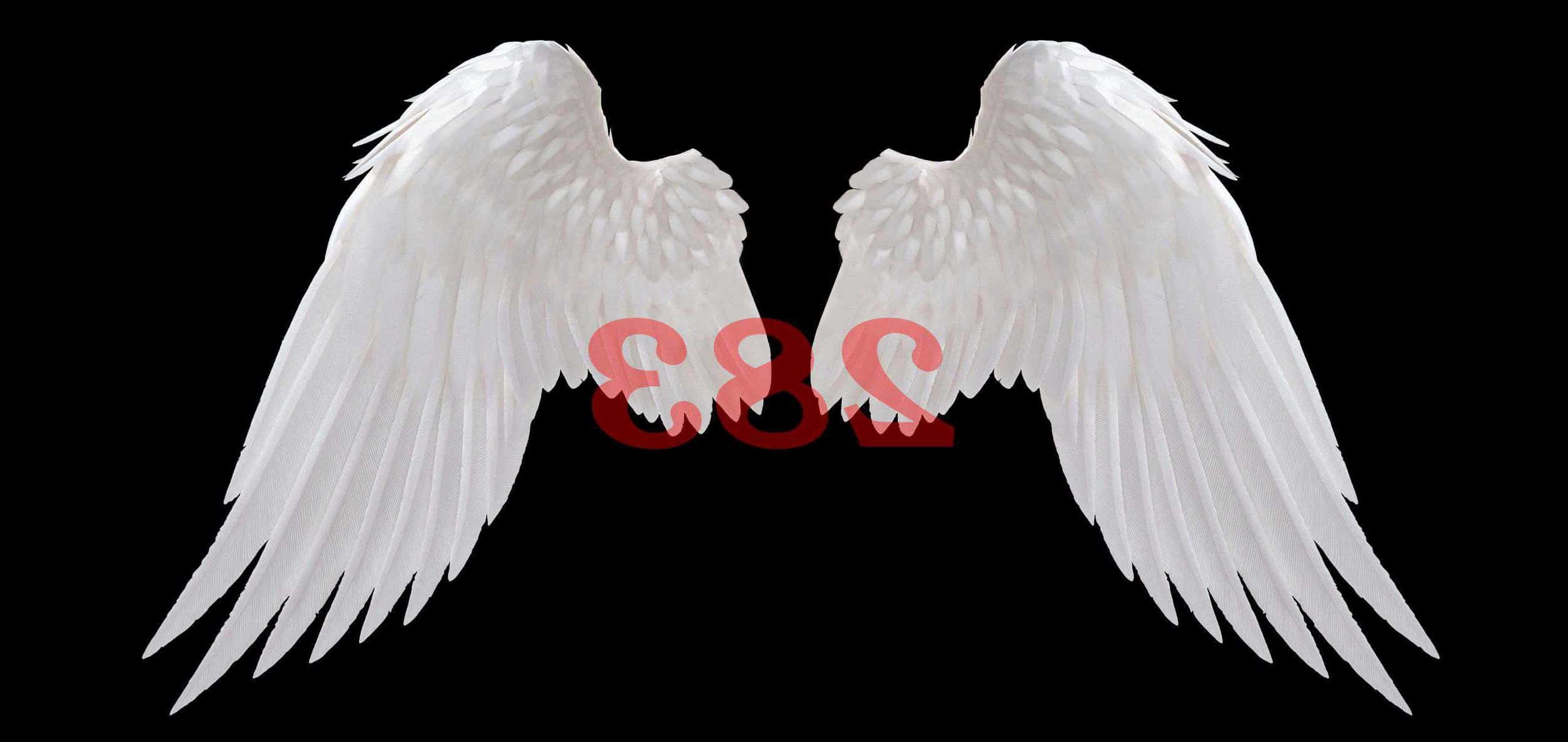 Número de ángel 283 Significado de numerología