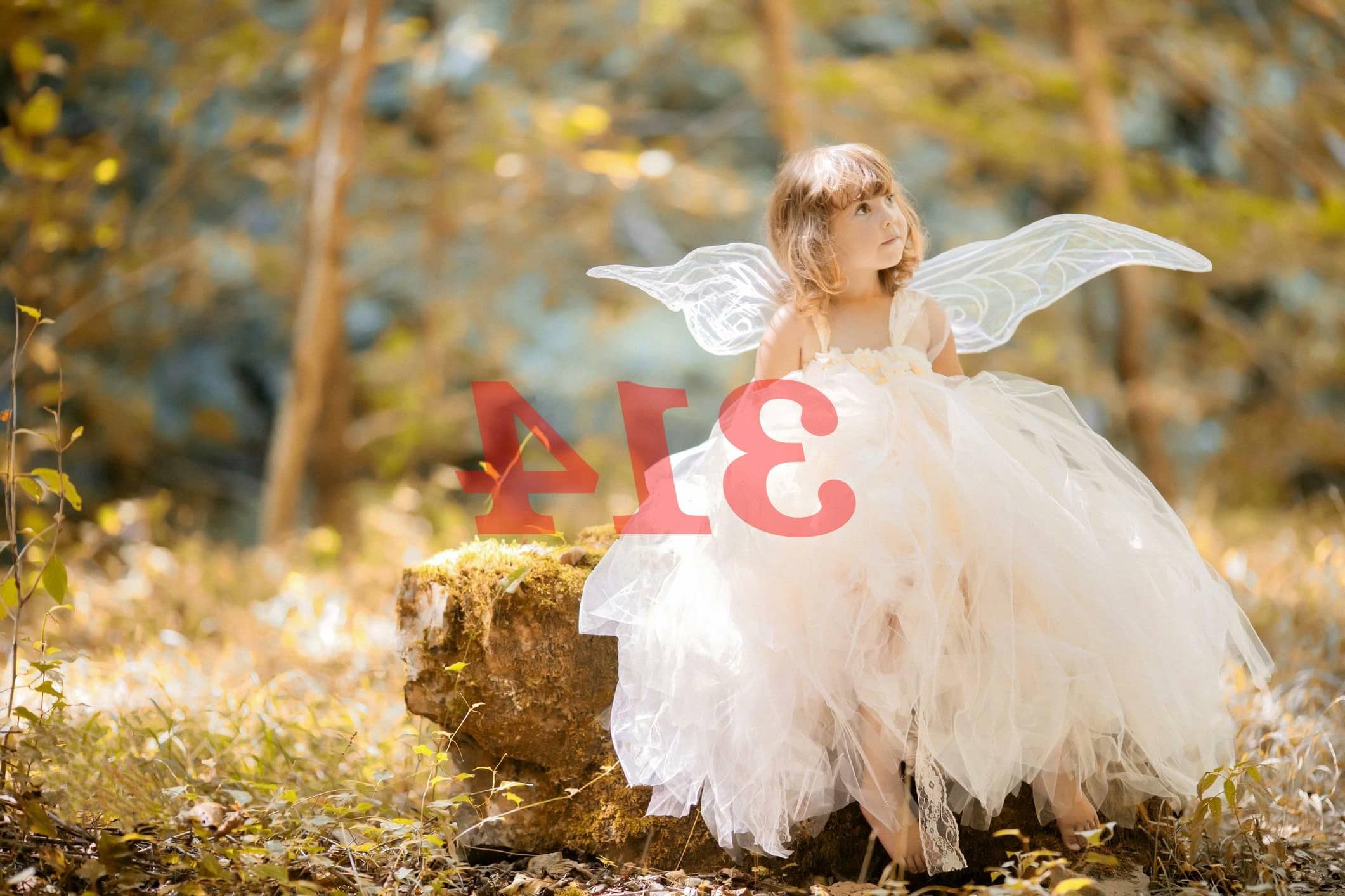 Número angelical 314 Significado de la numerología