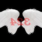 ¿Qué debe hacer si sigue viendo el número de ángel 324?