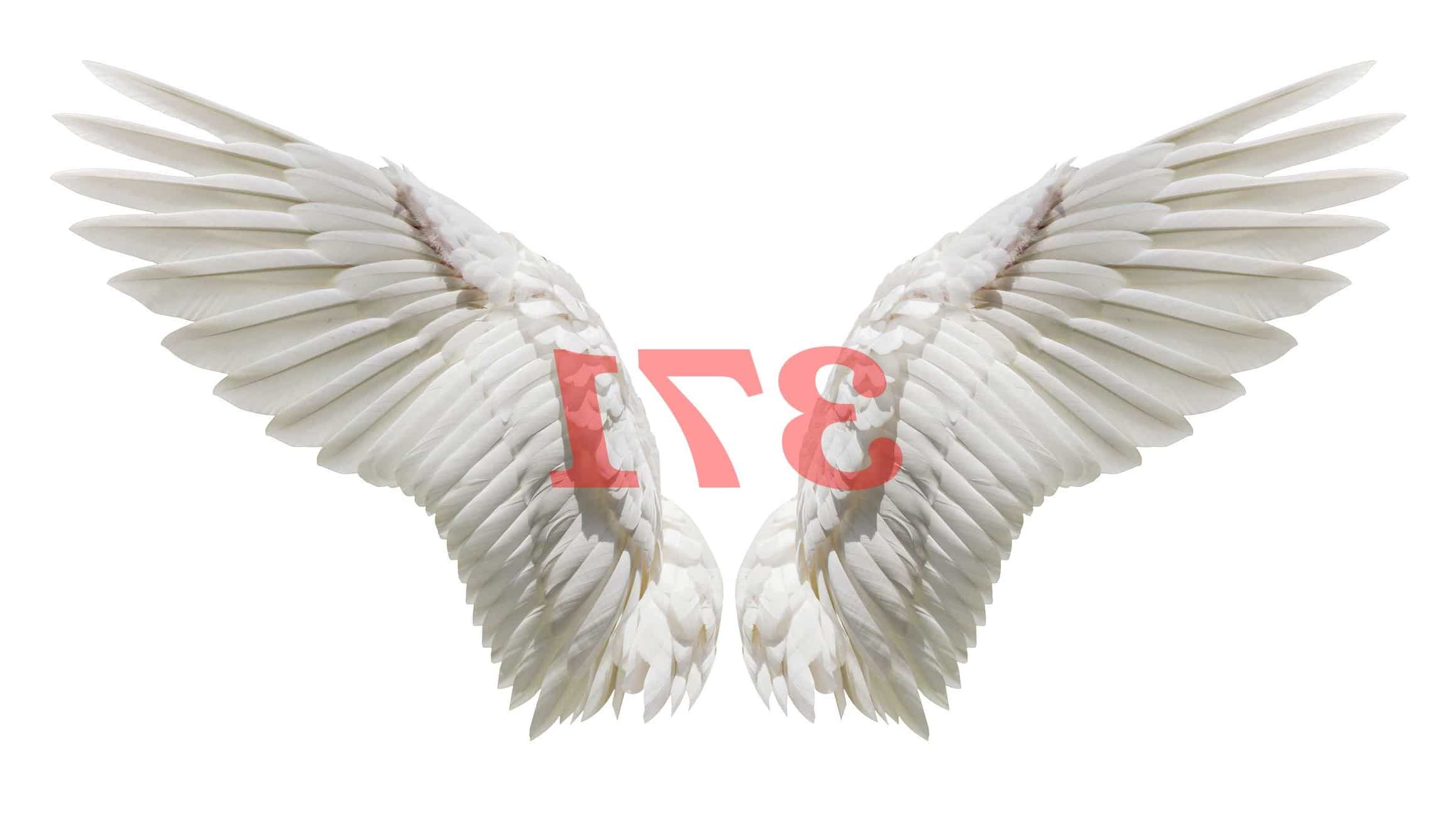 Número angelical 371 Significado de la numerología