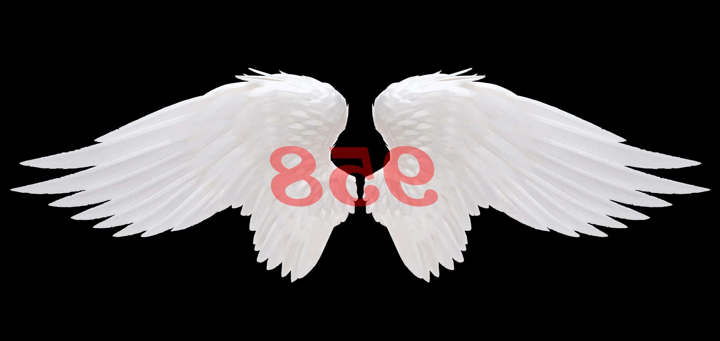 Ángel Número 958 Significado Numerológico