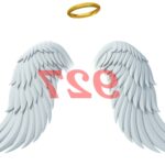 ¿Cuál es el significado espiritual del número de ángel 927?