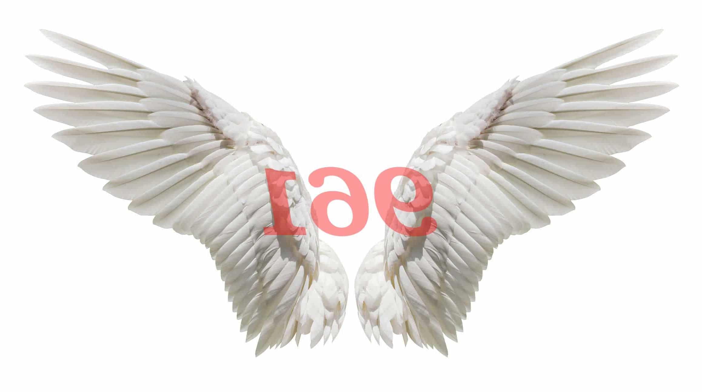 Ángel Número 961 Significado Numerológico