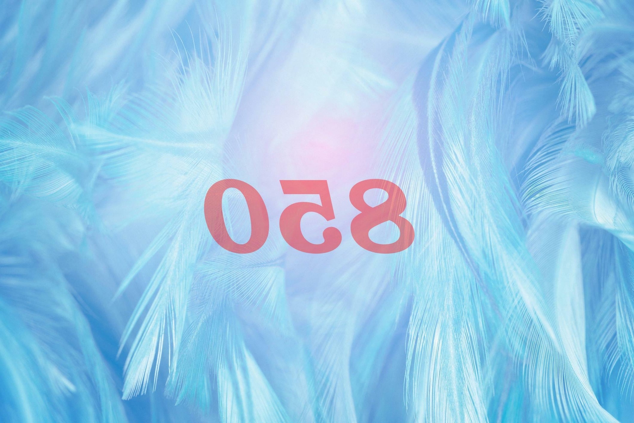 Ángel Número 850 Numerología Significado