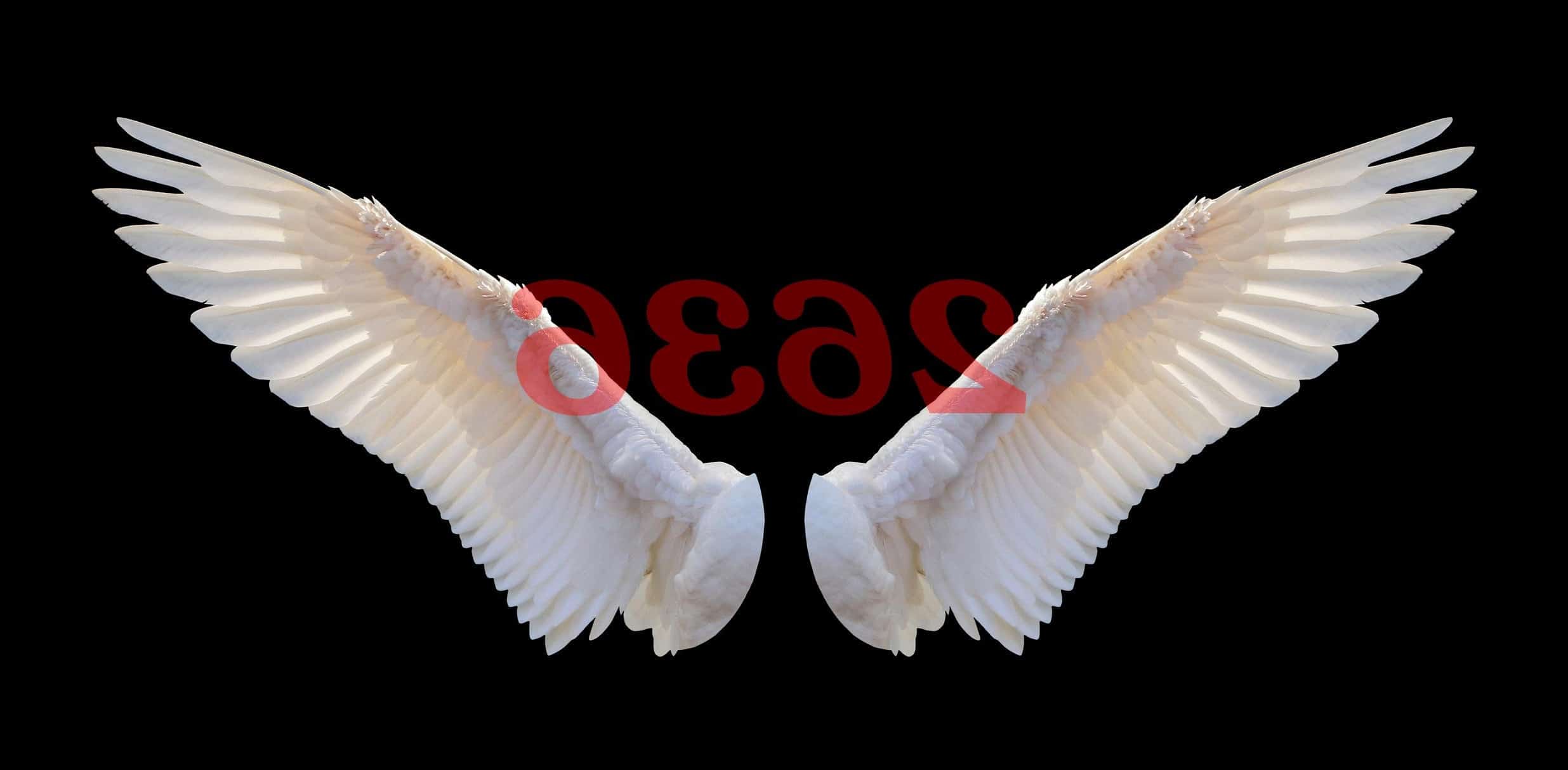 Ángel Número 2636 Numerología Significado