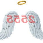 ¿Cuál es el significado del número de ángel 2555?