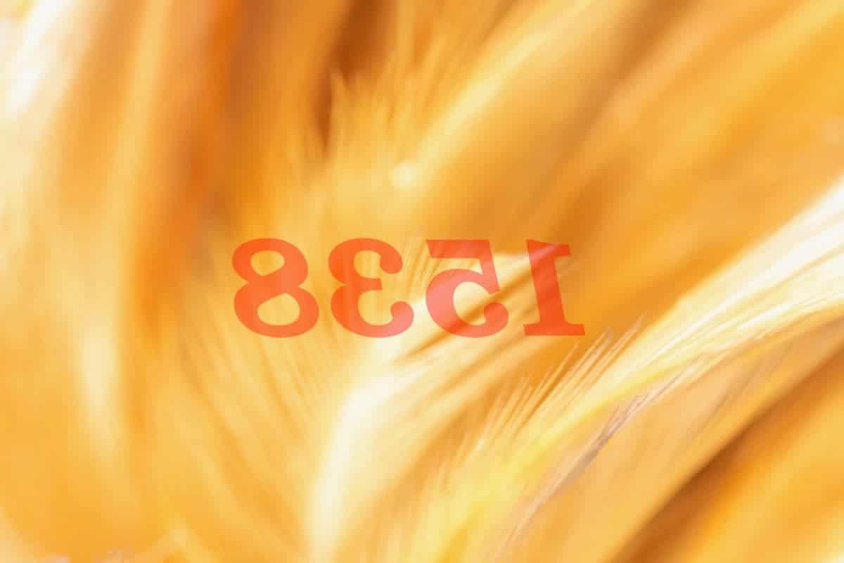Ángel Número 1538 Numerología Significado