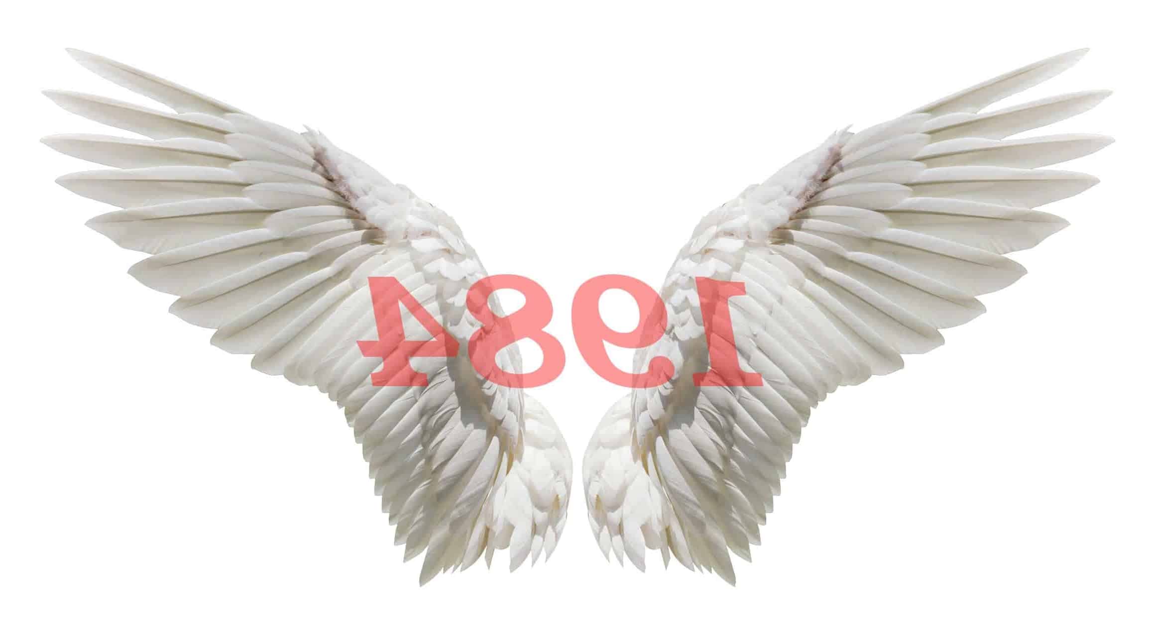 Ángel Número 1984 Numerología Significado