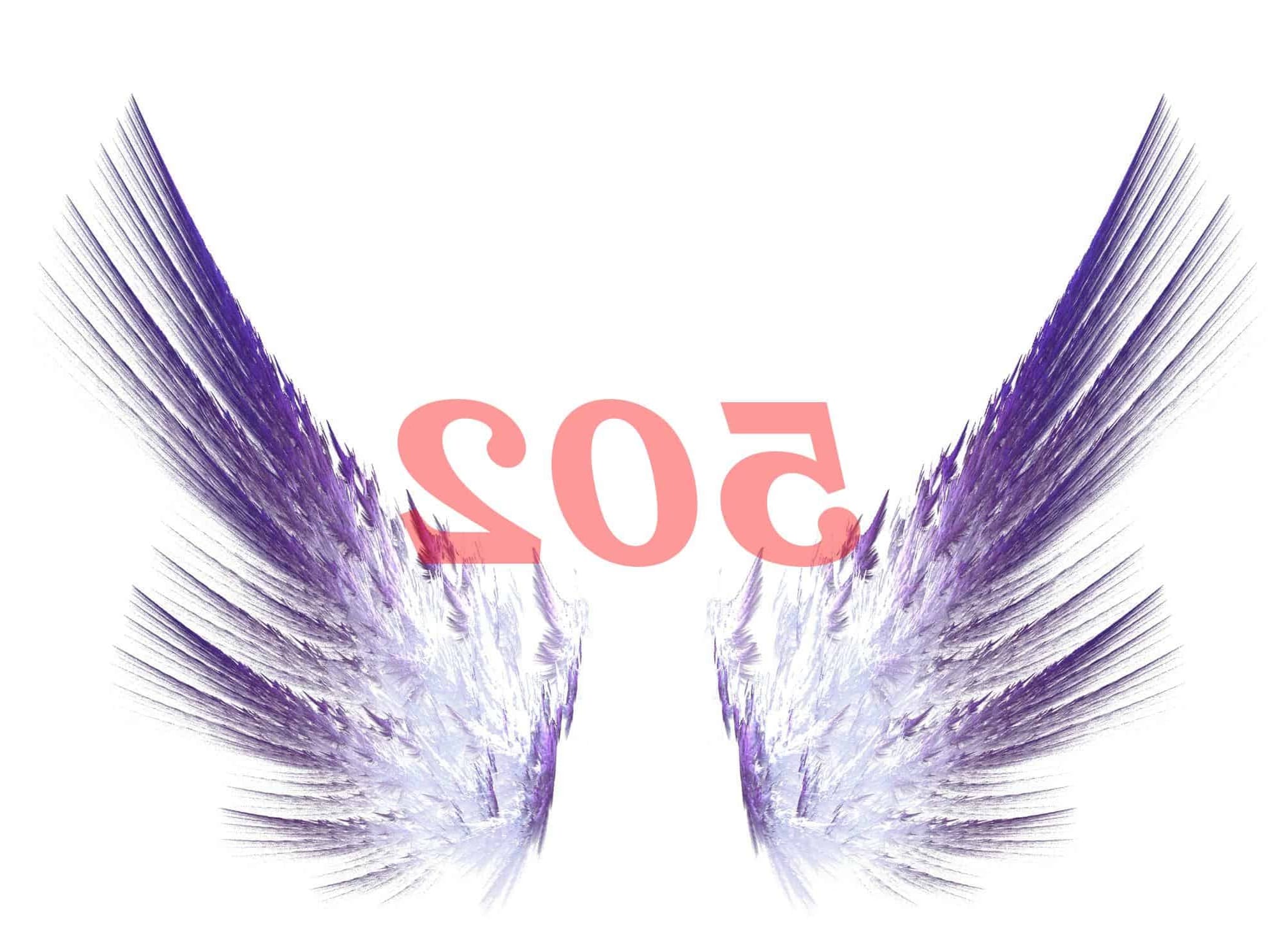 Ángel Número 502 Numerología Significado