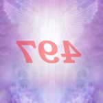 ¿Qué significa ver el número de ángel 497?
