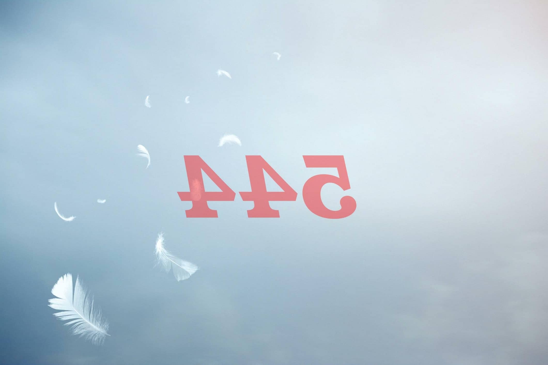 Ángel Número 544 Significado Numerológico