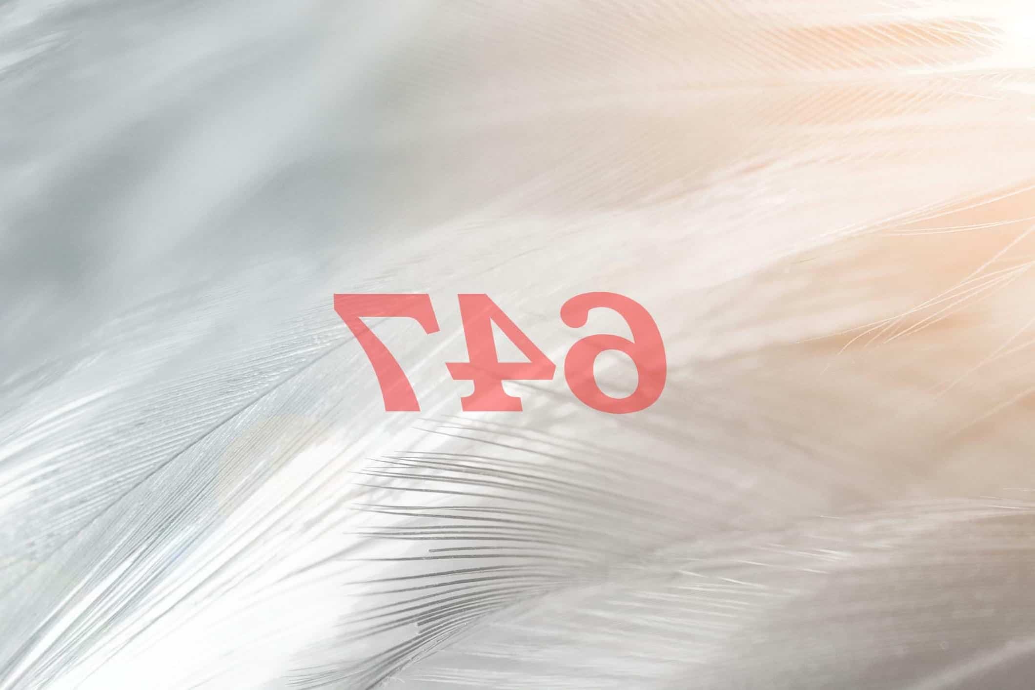 Ángel Número 647 Significado Numerológico