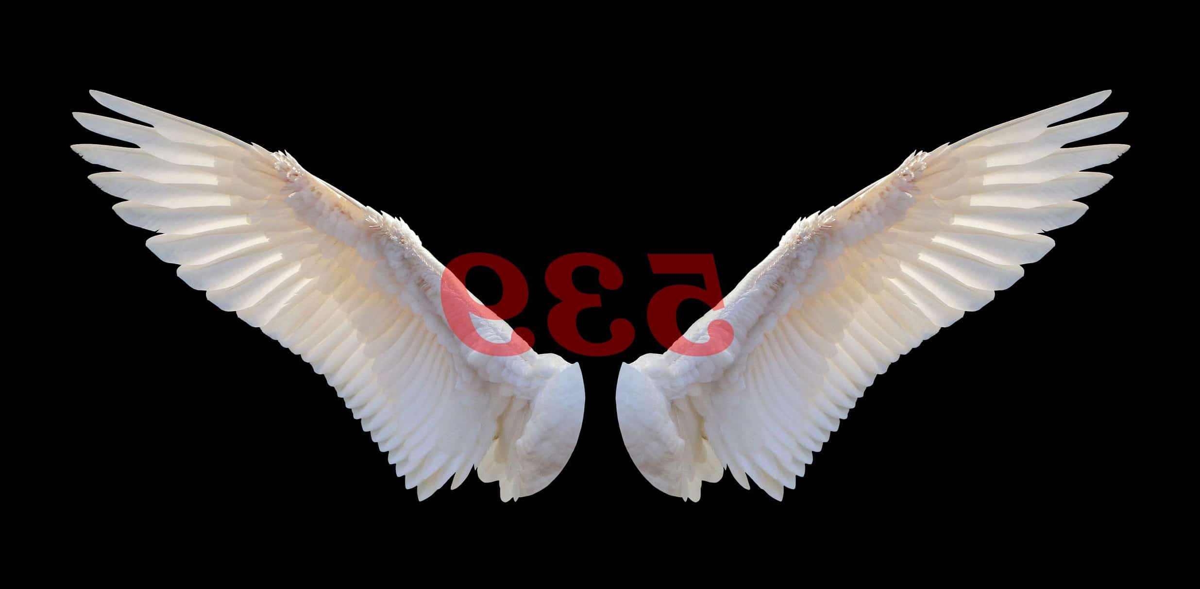 Número de ángel 539 Significado de numerología