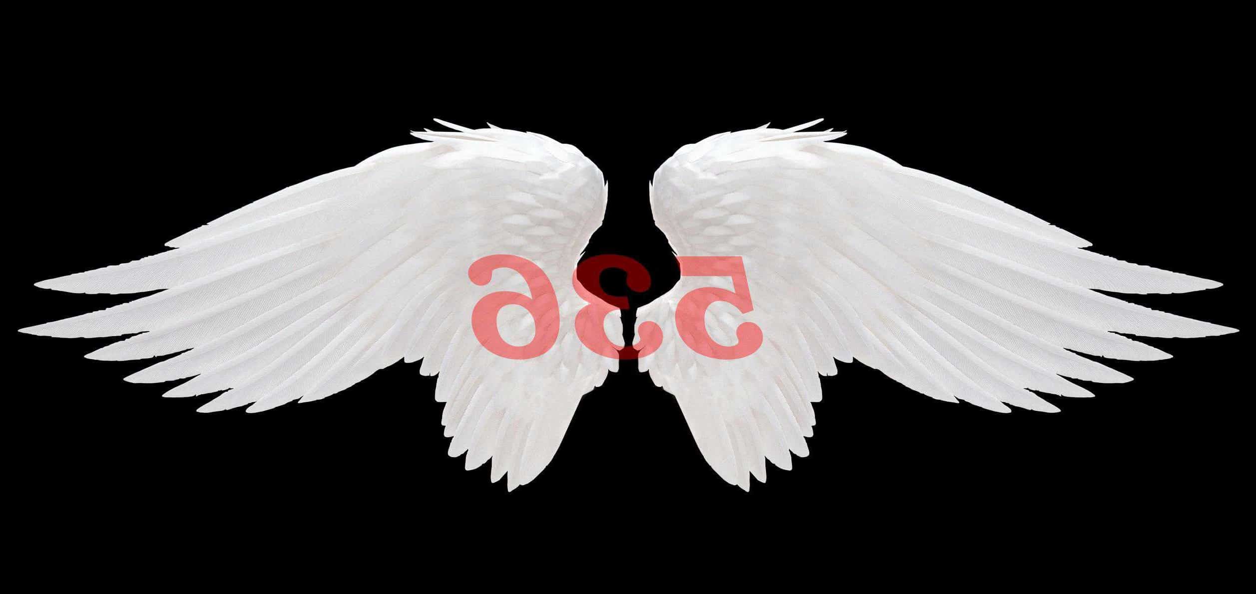 Número de ángel 536 Significado de numerología