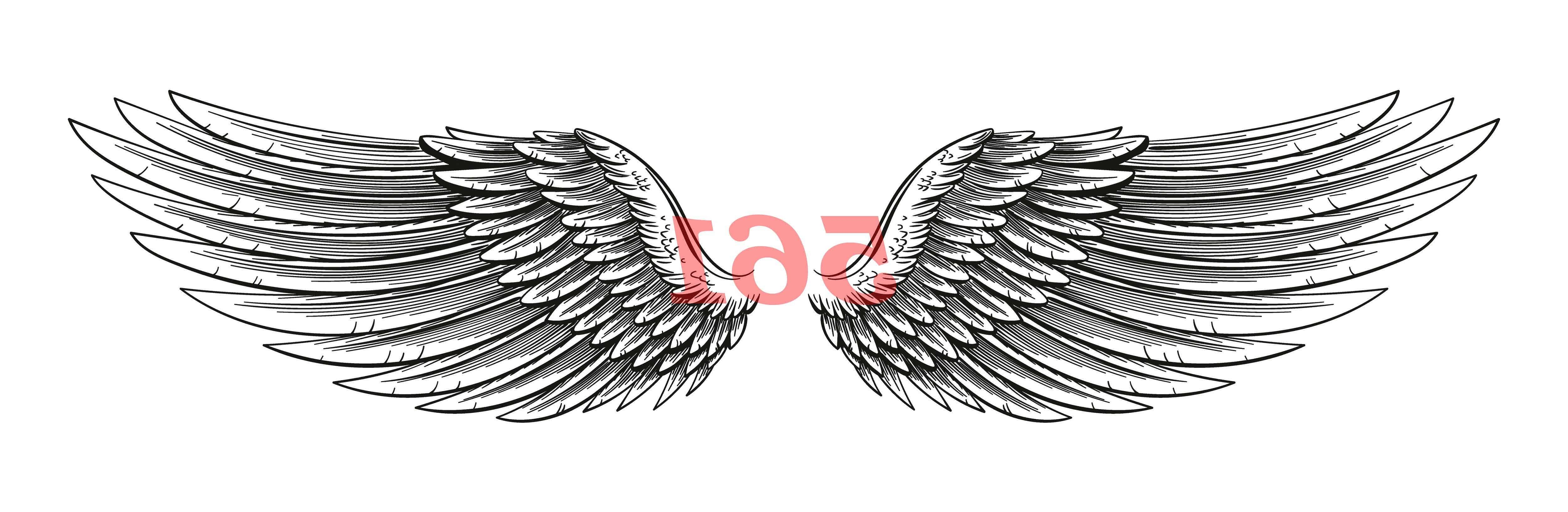 Número de ángel 561 Significado de numerología