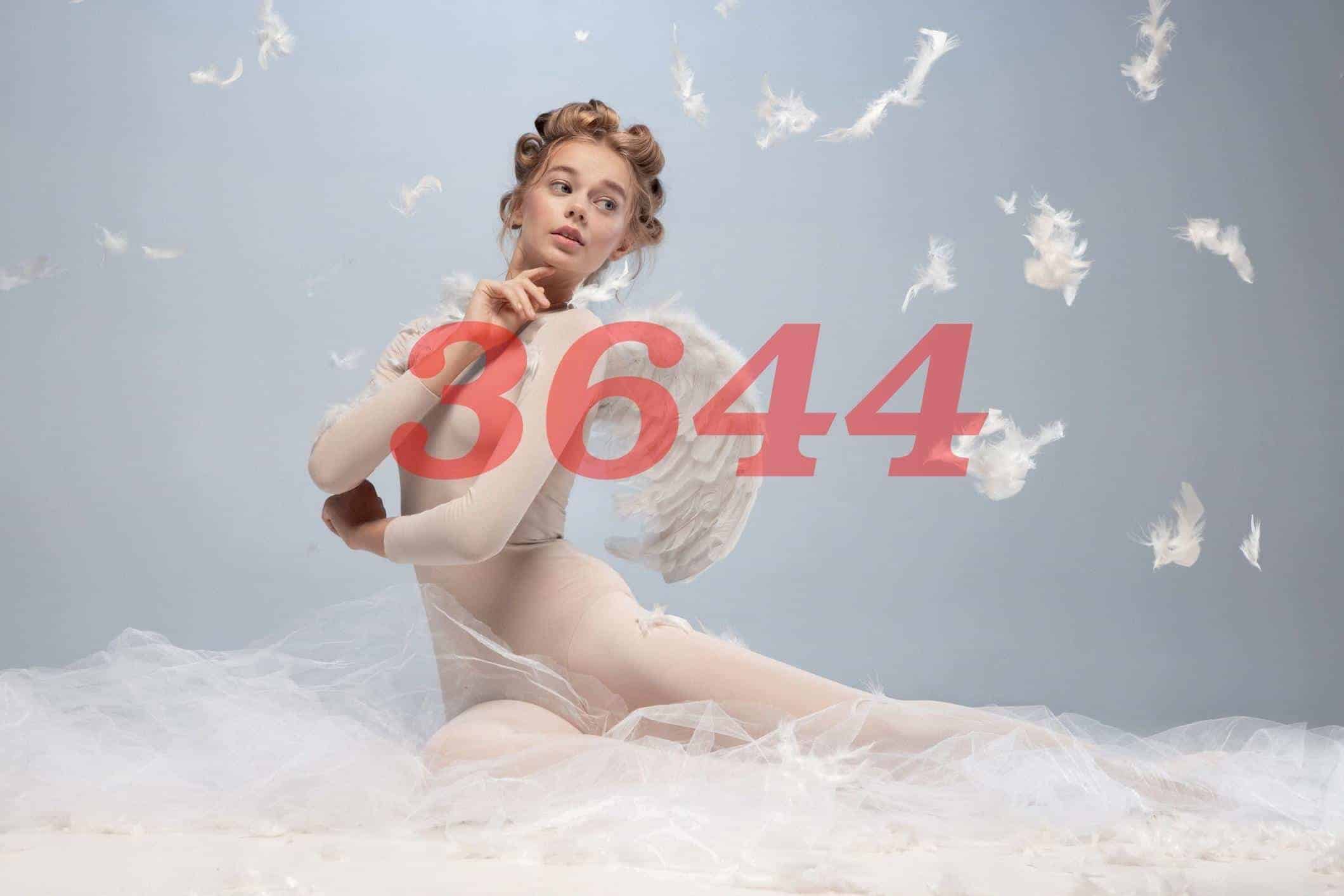 Número de ángel 3644 Significado de numerología