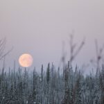 El significado espiritual de la luna fría