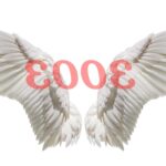 ¿Cuál es el mensaje detrás del número de ángel 3003?