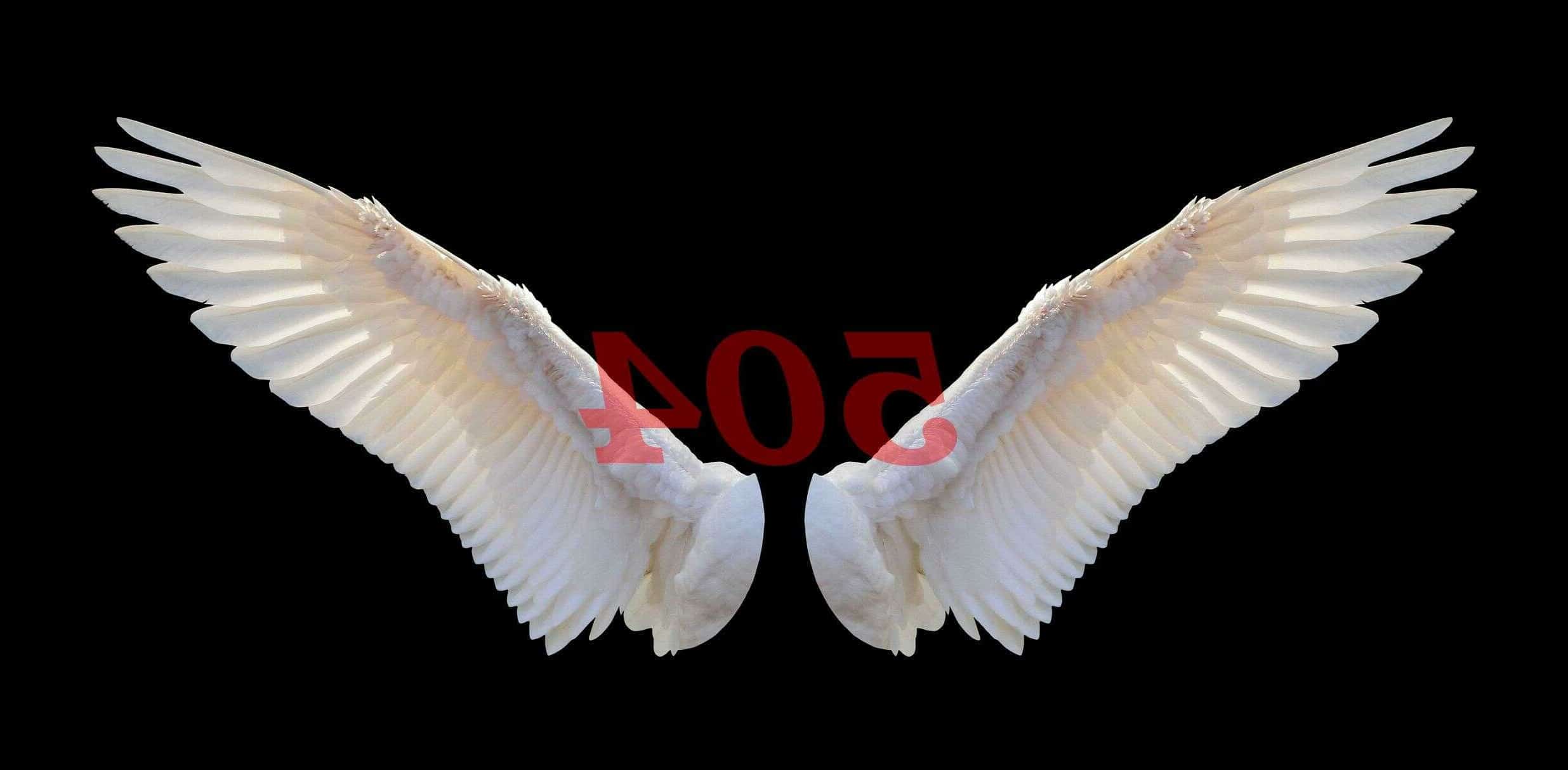 Ángel número 504 Numerología Significado