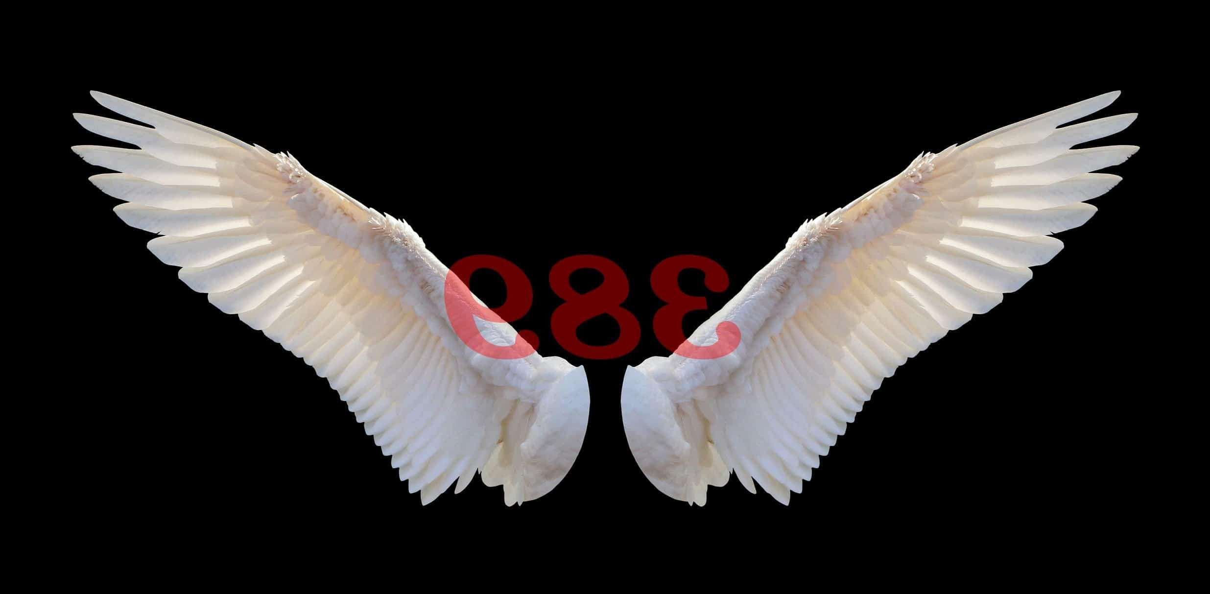 Número angelical 389 Significado de la numerología