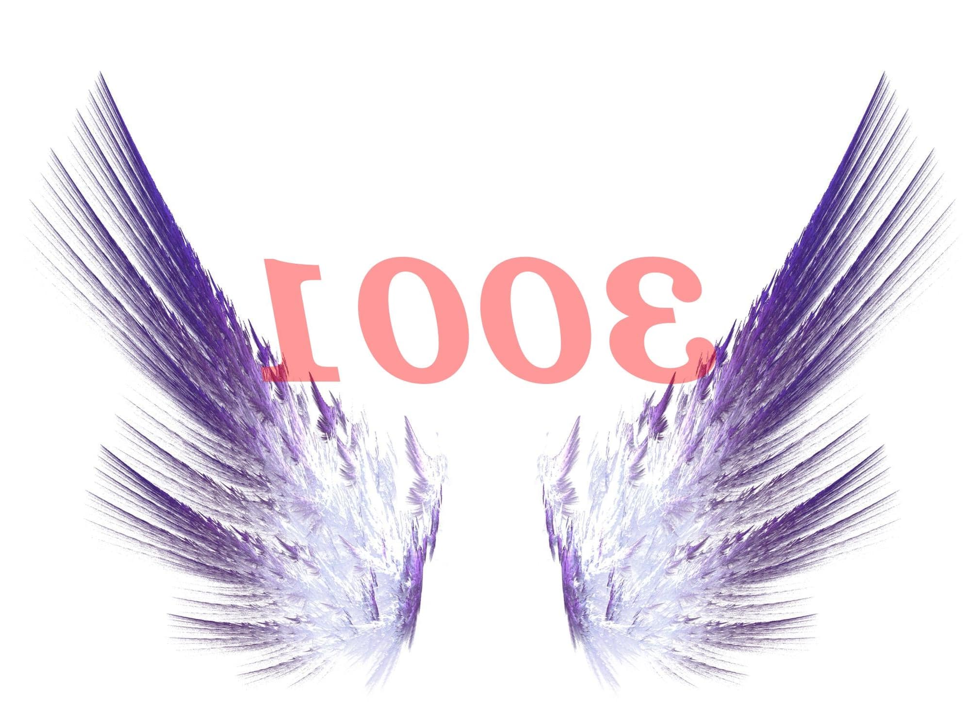 Número de ángel 3001 Significado de numerología