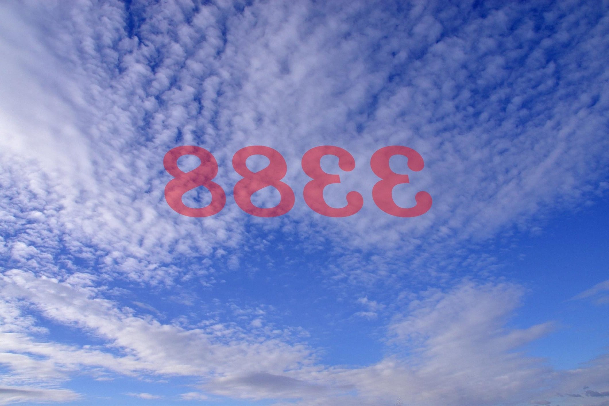 Número de ángel 3388 Significado de numerología