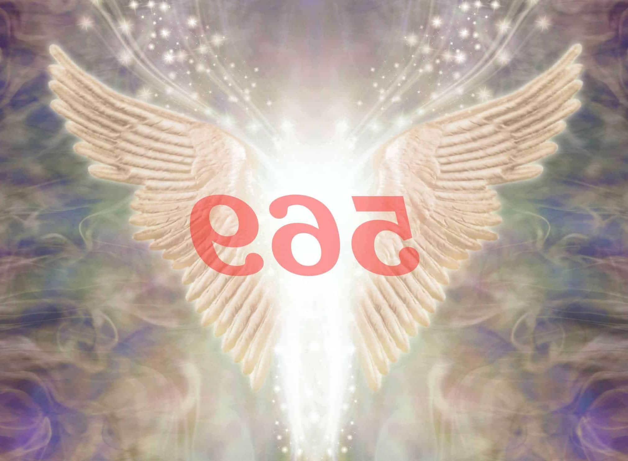 Número de ángel 569 Significado de numerología