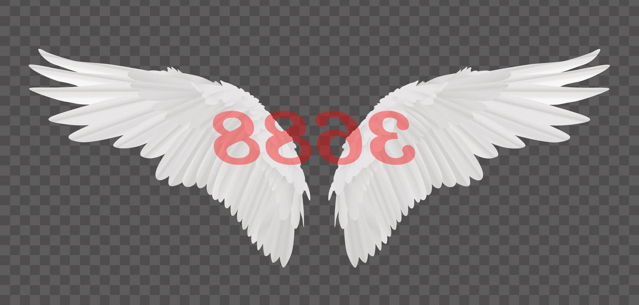 Número de ángel 3688 Significado de numerología