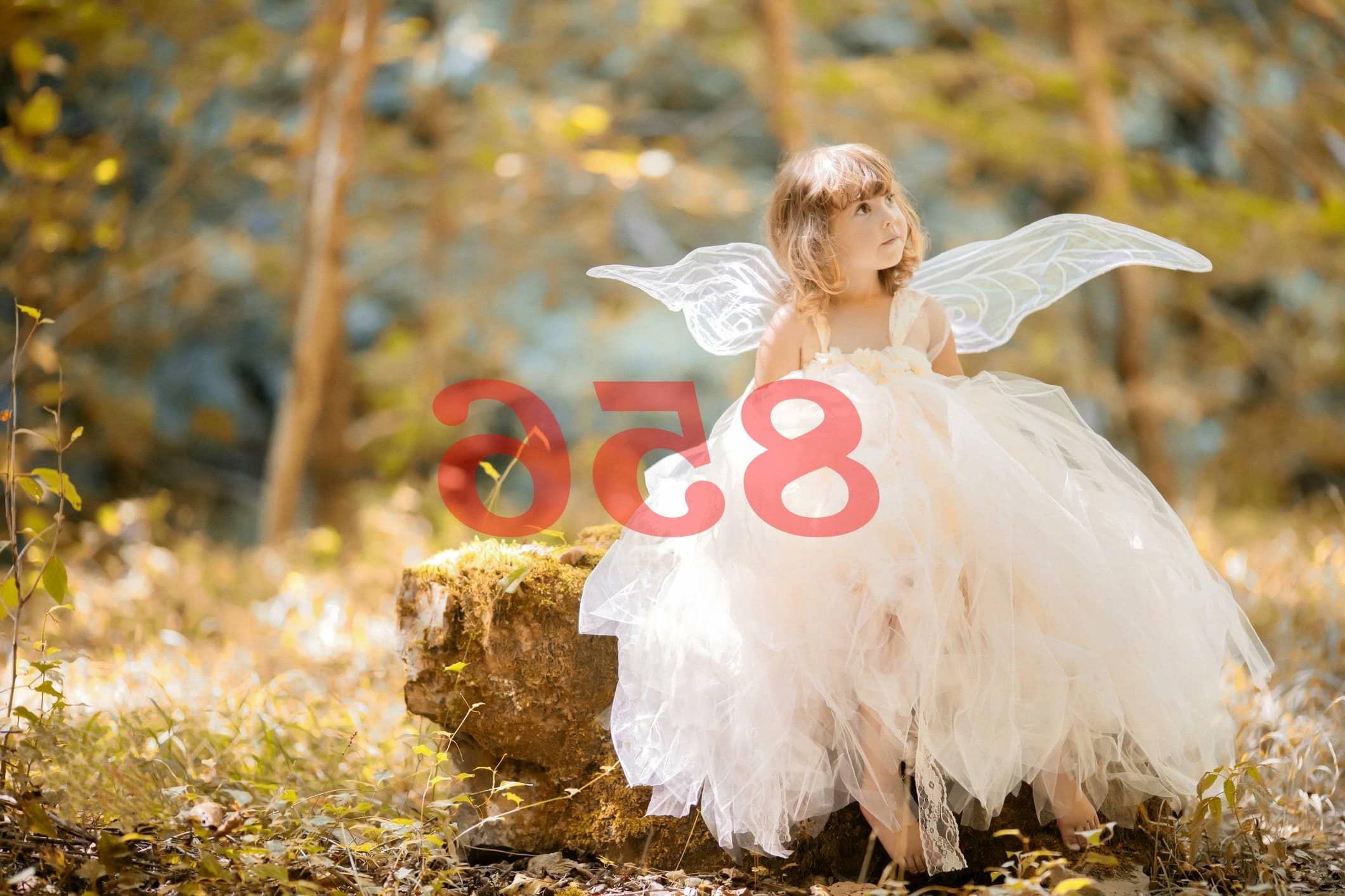 Número de ángel 856 Significado de numerología
